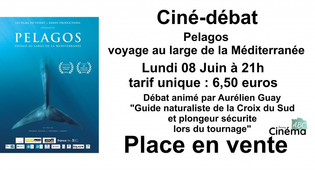 actualité .